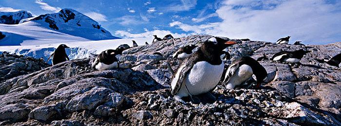 2D平台动作新游《Mariachi Legends》公布预告片